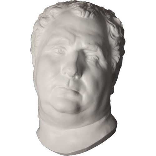 Classical Greco-Roman style bust with detailed facial features and curly hair, evoking Renaissance and old world European artistry.