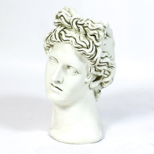 Apollo Head Planter 17 Outdoor/Indoor Statue