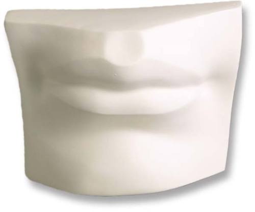 Classical Greek-style sculpted lips and nose fragment with smooth, minimalist contours and old world European influence.