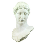 Alexis Head Bust Display Decor (49 - Inch)