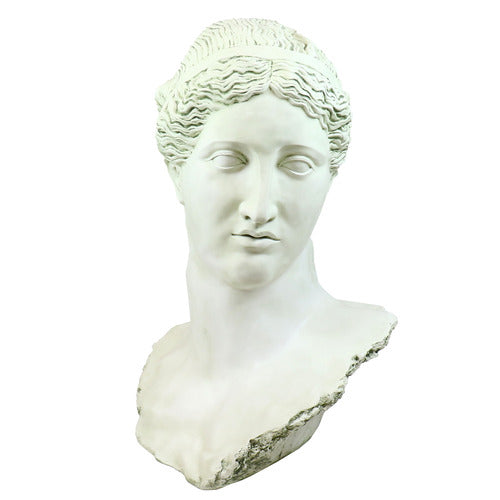 Alexis Head Bust Display Decor (49 - Inch)