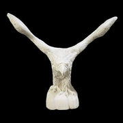 Eagle Bird Garden Statue (53 - Inch) Additional Angle