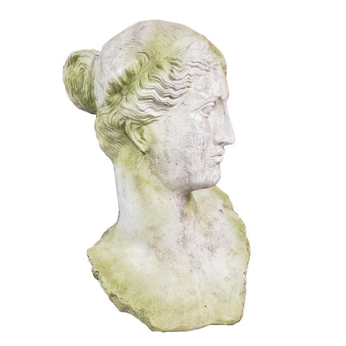 Head Bust Display Decor (49 - Inch)