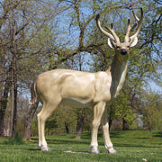 White Tail Deer Garden Statue (64 - Inch) Side View