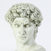 Classical Renaissance bust of a young man with curly hair, detailed facial features, and an ornate, sculpted base. Different Angle