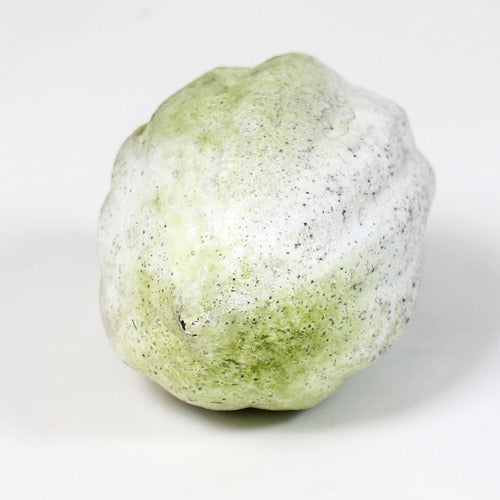 Acorn Squash 4 H Outdoor/Indoor Statue