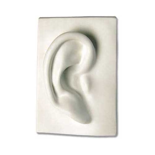 Classical sculpted ear relief on a rectangular plaque, featuring smooth contours and Renaissance-inspired anatomical detail.