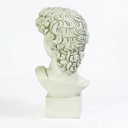 Classical Renaissance bust of a young man with curly hair, detailed facial features, and an ornate, sculpted base. Side Angle