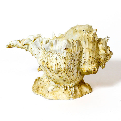 Caribbean Conch Outdoor/Indoor Statue