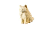 Penny Cat Statue (4.5 - Inch)