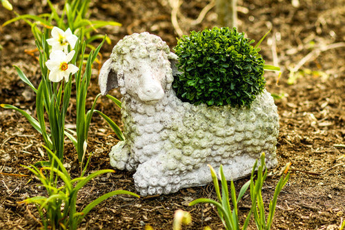 Lamb Planter Outdoor/Indoor Statue
