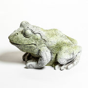 Frog Garden Statue (10 - Inch)