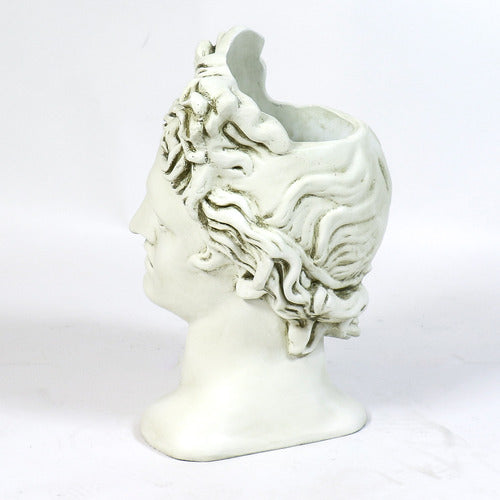 Apollo Head Planter 17 Outdoor/Indoor Statue