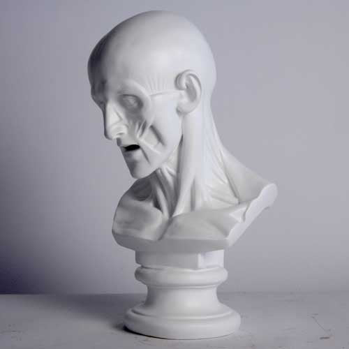 Anatomy Bust Outdoor/Indoor Statue