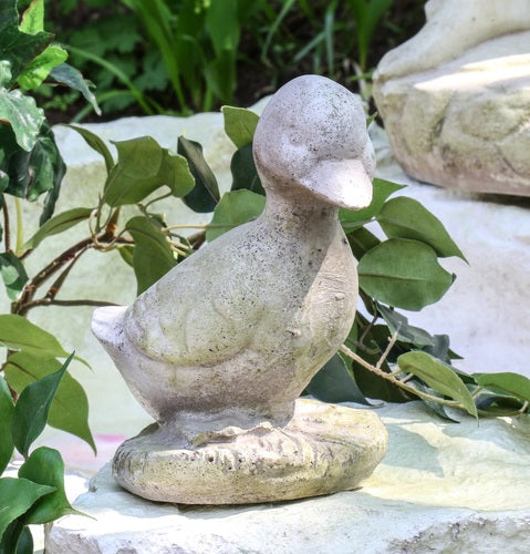 Baby Duck Statue (7 - Inch) Additional Angle