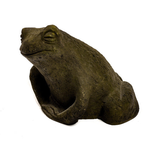 Toad Garden Statue (6 - Inch) Side Angle View
