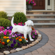 Dog statue with raised tail, classical European style, featuring smooth lines and subtle ornate detailing, reminiscent of Renaissance art. Side Angle