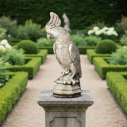 Ornate old world European parrot statue with classical detailing and weathered, antique finish on a decorative pedestal base. Side Angle