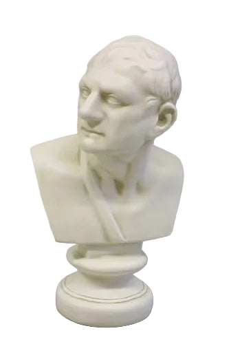 Classical Greek-style male bust with detailed facial features and draped garment on a round pedestal base.