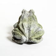 Frog Garden Statue (10 - Inch) Different Angle