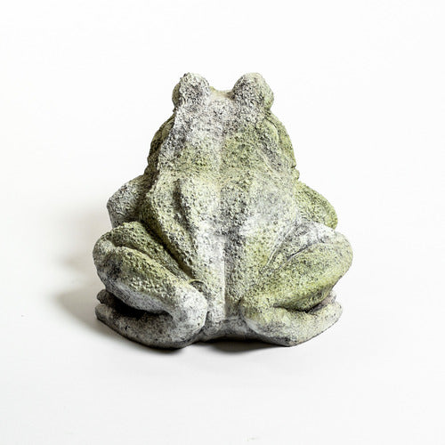 Frog Garden Statue (10 - Inch) Different Angle