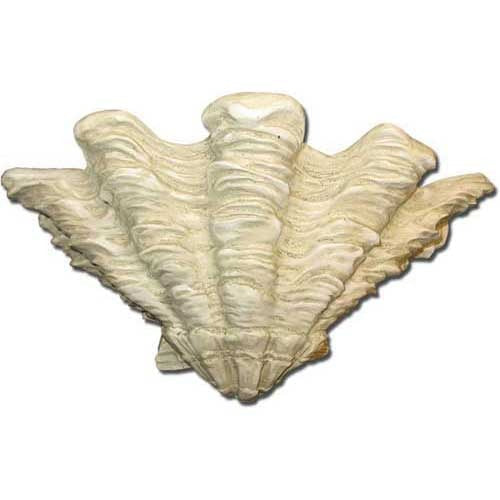 Shell Sconce 9 Outdoor/Indoor Statue