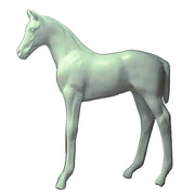 Foal statue with classical European style, featuring smooth lines and realistic proportions in a poised, elegant stance.
