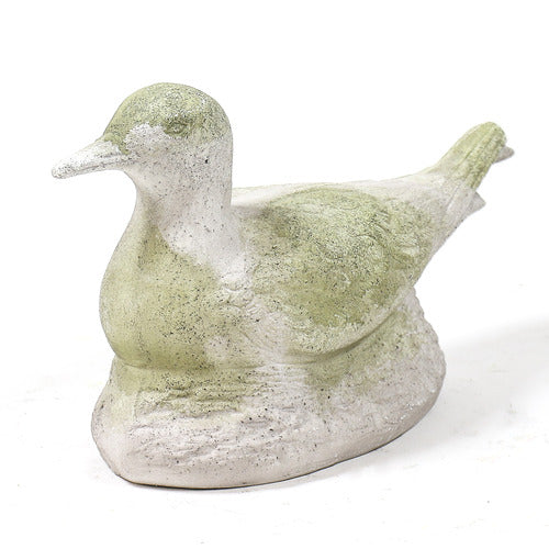 Seagull Bird Garden Statue (9 - Inch)