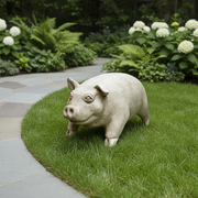 Pig Garden Statue (24 - Inch) Side Angle
