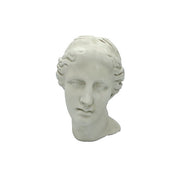 Venus Antiquity Head Bust Display Decor (9 - Inch)