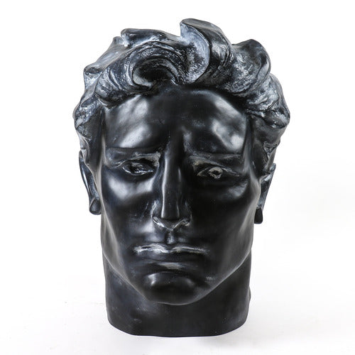 Classical Greco-Roman style male bust with strong features and wavy hair, evoking Renaissance and old world European artistry.