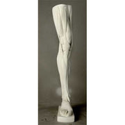Classical anatomical leg sculpture with exposed muscles, inspired by Renaissance and old world European artistic traditions. Side Angle