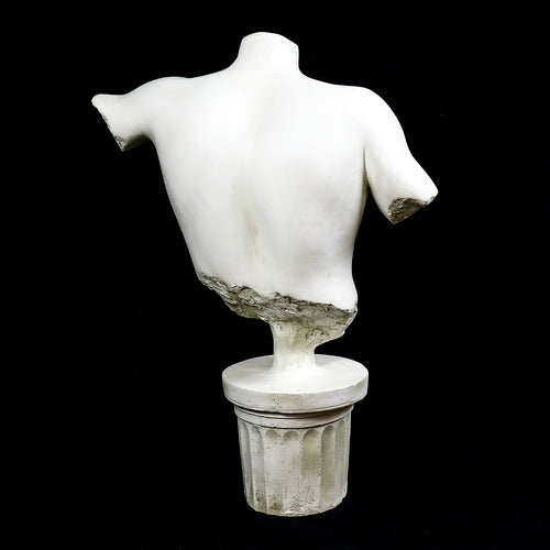 Classical Greek male torso sculpture with missing head and arms, displayed on an ornate fluted pedestal in old world European style. Side View