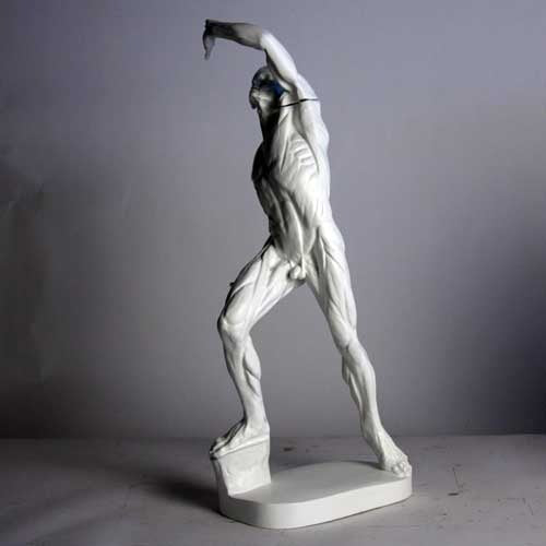 Anatomy of Man Garden Statue (28 - Inch) Side Angle View