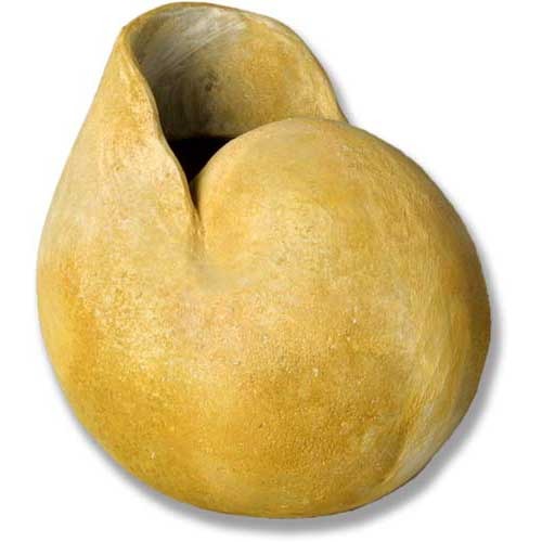 Nautilus Medium 12 Outdoor/Indoor Statue