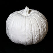Pumpkin with classical sculptural detailing and ornate ridges, inspired by old world European and Renaissance aesthetics. Side View