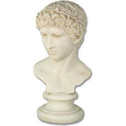Classical Greek-style bust with intricate curly hair and serene facial expression on a rounded pedestal base.