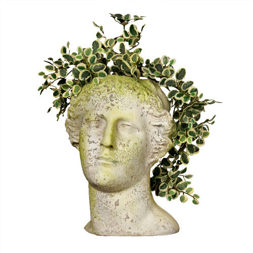 Venus Head Planter 13.5 H Outdoor/Indoor Statue