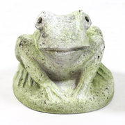 Hypno Frog Statue (5 - Inch) Side Angle