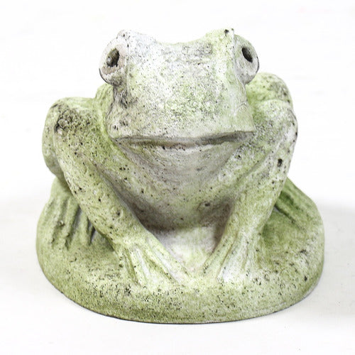 Hypno Frog Statue (5 - Inch) Side Angle