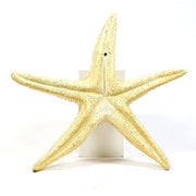 Starfish Garden Statue (30 - Inch) Side View