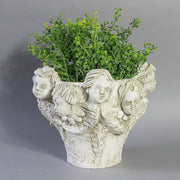 Ornate Baroque-style planter featuring sculpted cherub faces and classical old world European detailing around the rim. Side View