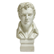 Classical European-style male bust with detailed facial features and wavy hair, inspired by Renaissance and old world sculpture.