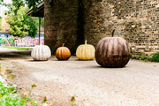 Pumpkin Garden Statue (14 - Inch)