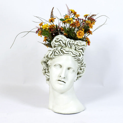 Apollo Head Planter 17 Outdoor/Indoor Statue
