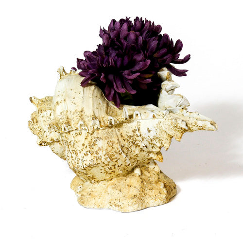 Caribbean Conch Outdoor/Indoor Statue