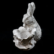 Rabbit Garden (17 - Inch) Other Angle