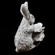 Rabbit Garden (17 - Inch) Different Angle