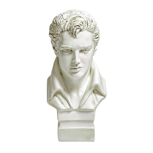 Classical European-style male bust with detailed facial features and wavy hair, inspired by Renaissance and old world sculpture. Side View