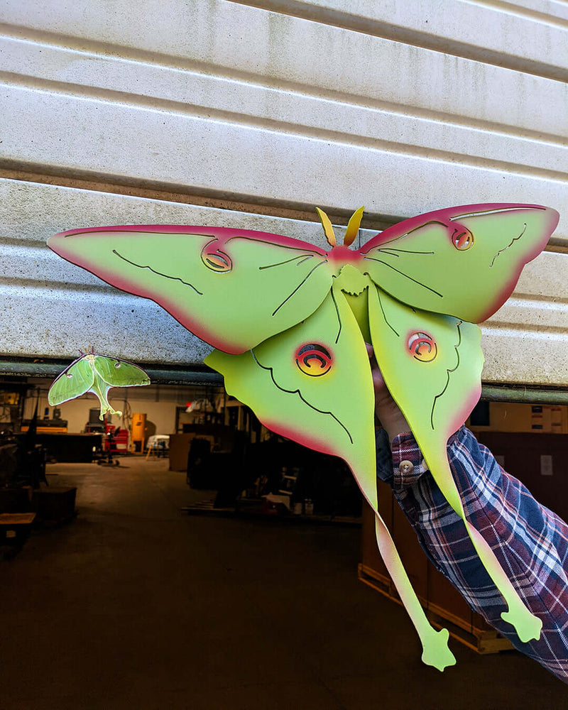 Luna Moth Wall Hanging